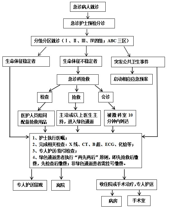 急诊患者就诊流程.jpg