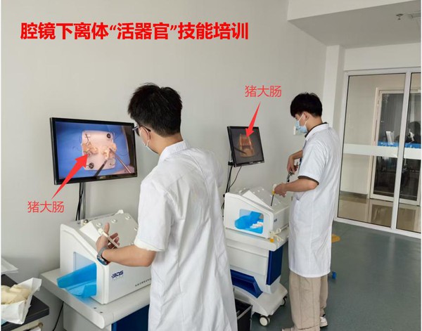 基本技能培训3.jpg